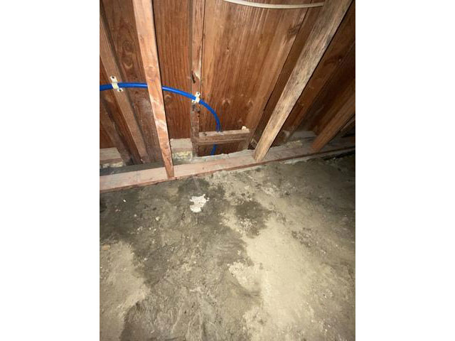 449439 2e6f13f1 A9b7 48cc Bb61 51d81c55dd37 Photo