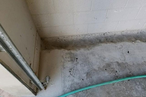 449774 63d4787758115 Image3 1