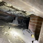 63f9235ceef2b Rosemary 1 Before 1 63f9235ceef2b Rosemary 1 Before 1