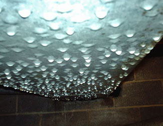 Condensation In A Humid Crawl Space Condensation In A Humid Crawl Space