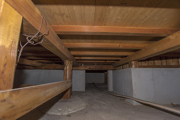 Crawlspace Restoration Services