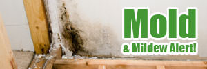 Mold Amp Mildew Alert Mold & Mildew Alert!