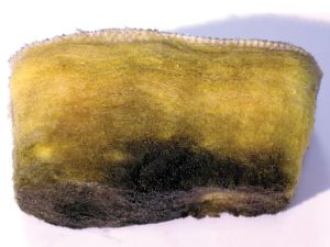 Rotting Moldy Fiberglass Insulation From A Home In Thousand Oaks Rotting, moldy fiberglass insulation from a home in Thousand Oaks.