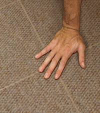 Product Thumb Carpeted Floor