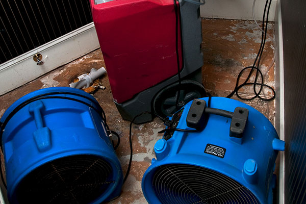 Water Damage Remediation Project