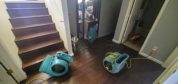 Water Damage Remediation