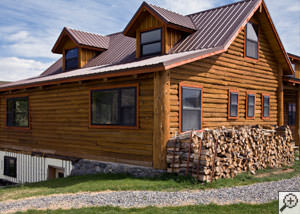 Wood Pile Termites Thm 1 Wood Pile Termites Thm 1