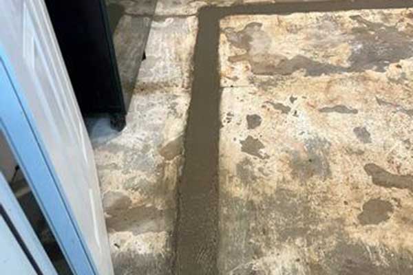 65c547c503f4b Img4736 Pic