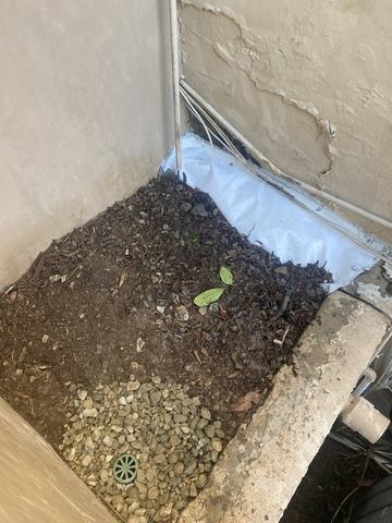 Sanidry Sedona Drying Out Crawlspace Air Now Crawlspace Is Conditioned Clean Air Year Round