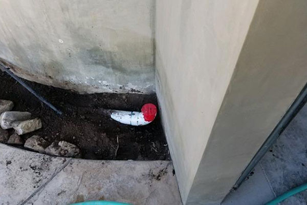 449773 63d477ecee11f Image1