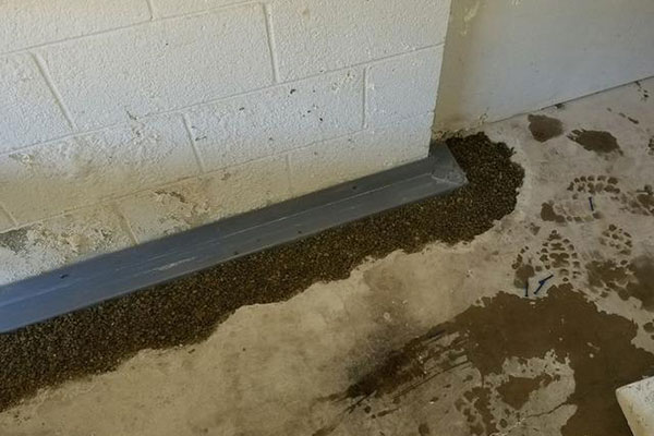 449775 63d478ce88f3f Image5