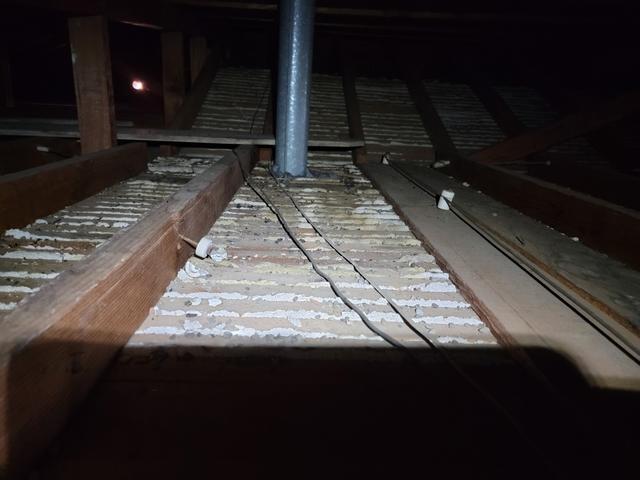 * Disinfected the attic and crawlspace