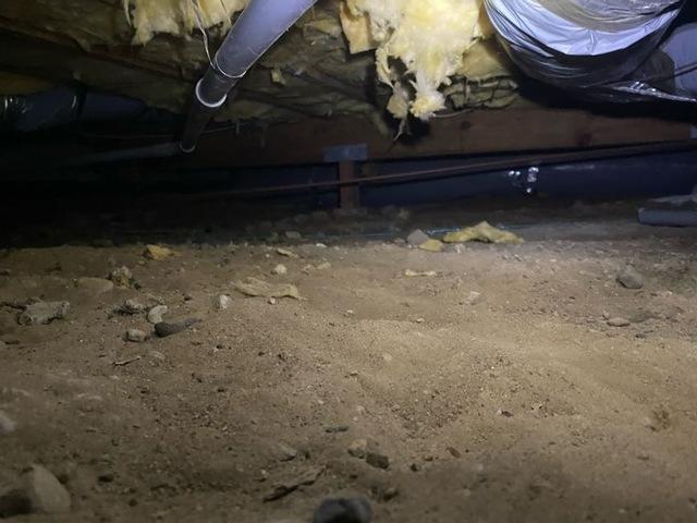 6446aaf13945b Img9660