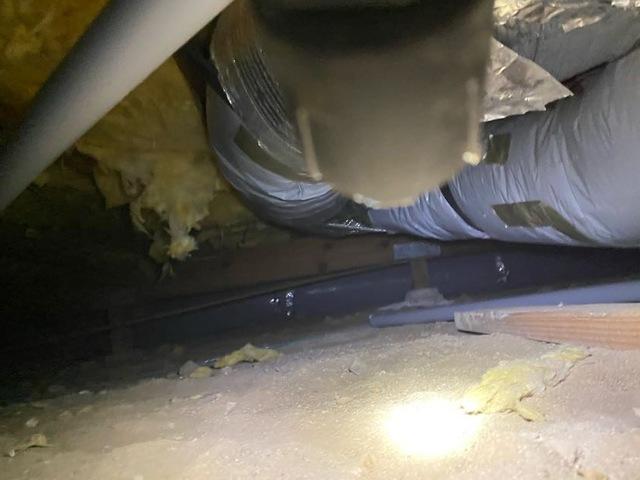 6446aaf29c2f1 Img9661