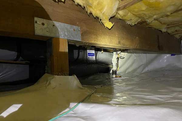 6446aaf660bd9 Img5215 Pic