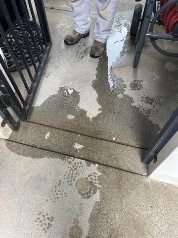 65c547c709384 Img4753