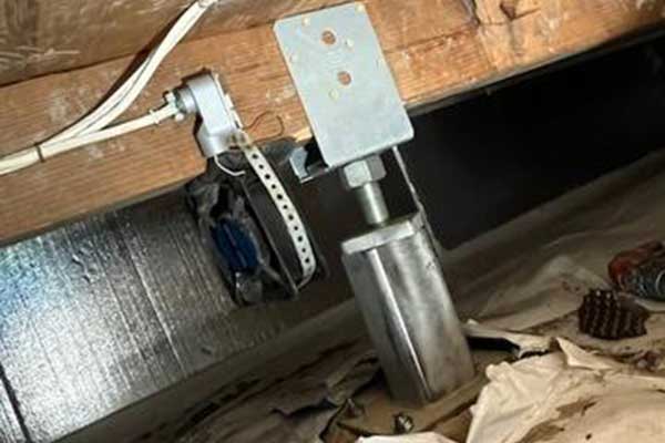 65eb5d351ad35 Img1420 Pic